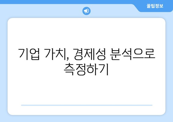 경제성 분석을 통한 기업 가치 평가